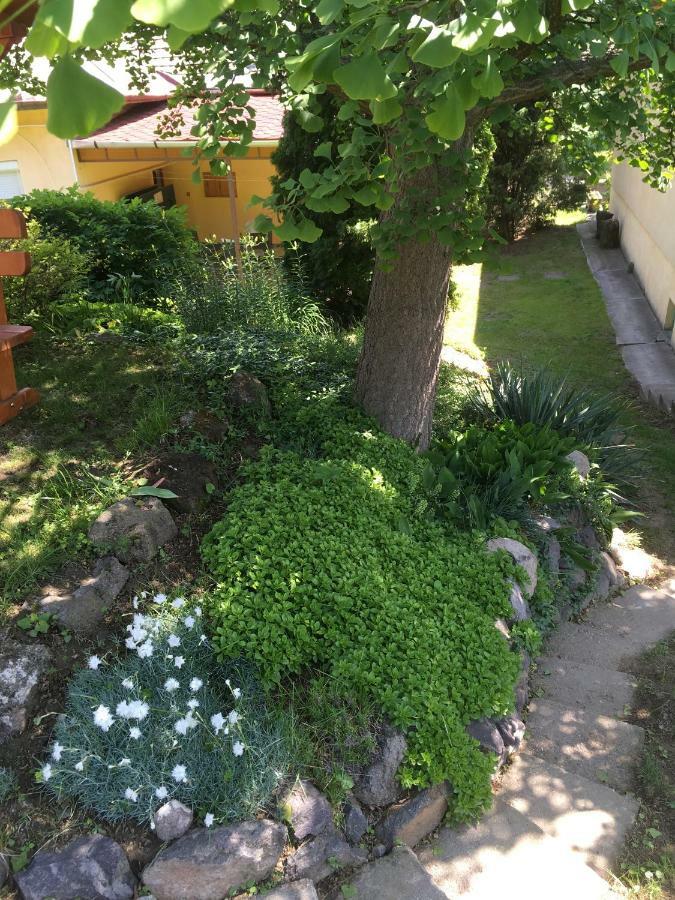 Bogoly Apartman توكاي المظهر الخارجي الصورة